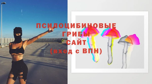 Альфа ПВП Богородицк