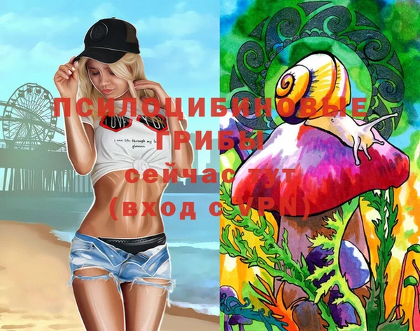 Альфа ПВП Богородицк